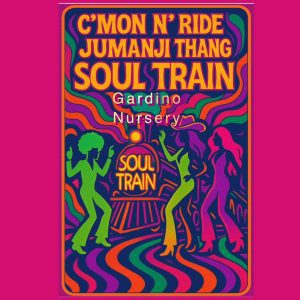 Raid Train Live Sale on the Palmstreet App / August 10th 6:30 pm