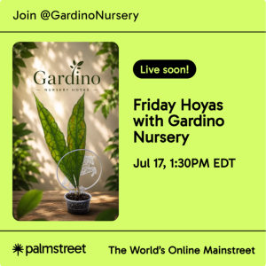 Hoya LIVE SALE on the Palmstreet App / July 17th starting at 1:30 PM EST
