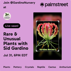 Rare & Unusual Live Sale on the Palmstreet App / July 31st