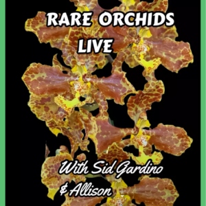 Rare Orchid LIVE SALE on the Palmstreet App / July. 16th - starting at 5 pm