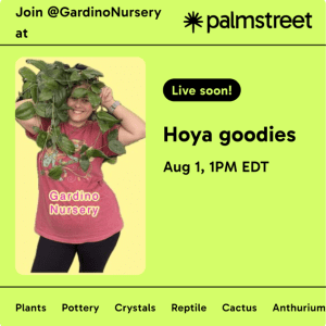 Hoya & Aroids LIVE SALE on the Palmstreet App / Aug 1st