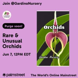 ORCHID Purge Sale on Palmstreet! June 7th / 12-6pm est