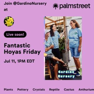 Hoya & Aroids LIVE SALE on the Palmstreet App / July 11th