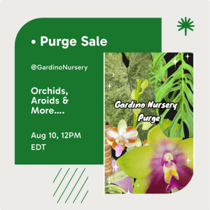 Purge Sale on Palmstreet! August 10th, 12 - 6pm EST